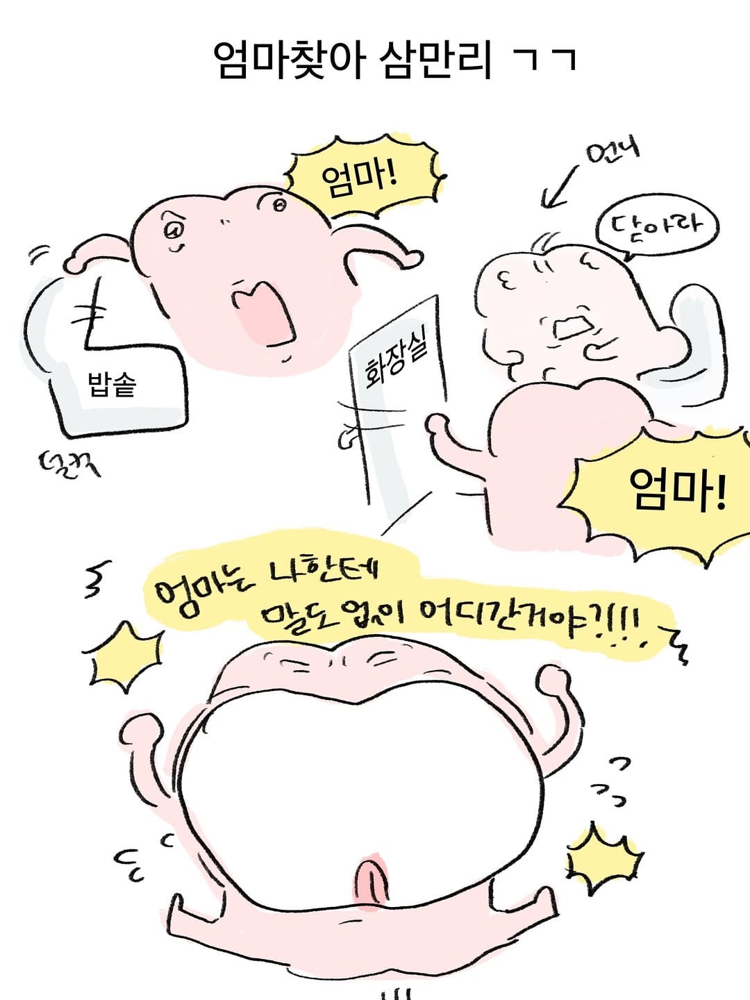 엄미새 특징 | 인스티즈
