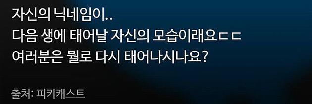 다음 생에 태어날 자신의 모습 | 인스티즈