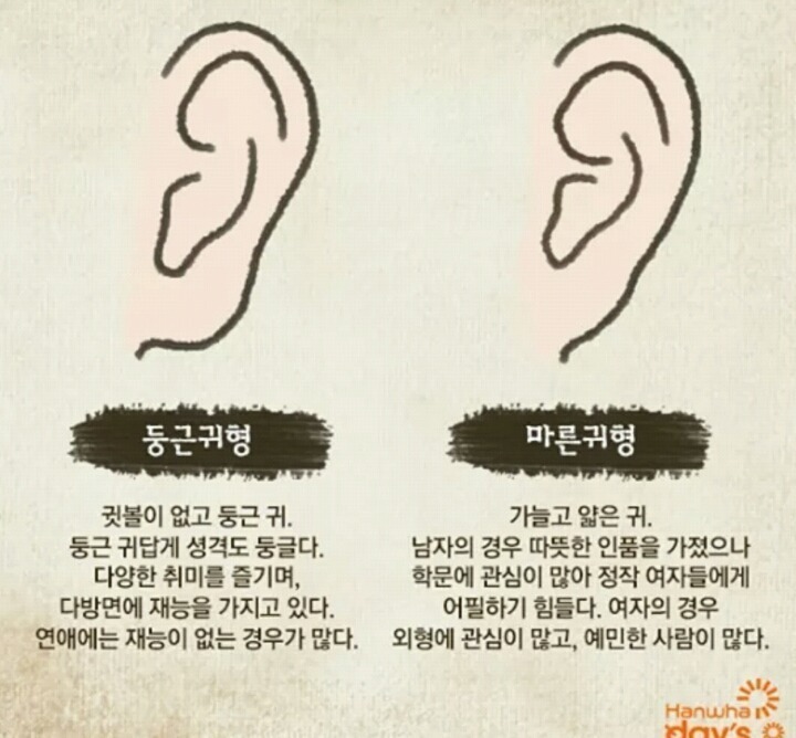 귀 모양으로 보는 성격 | 인스티즈