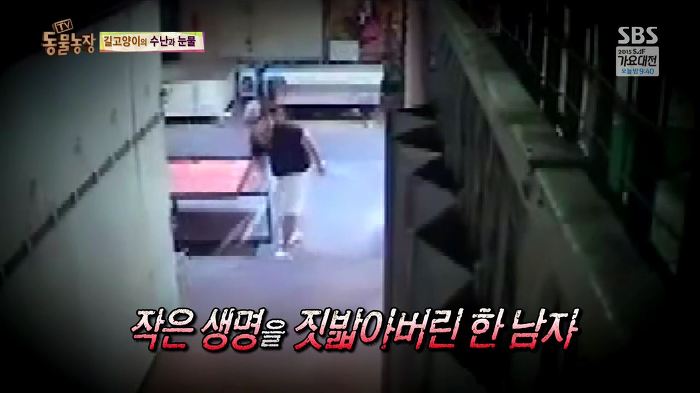 눈앞에서 제 아이가 맞아죽었습니다. 도와주세요 | 인스티즈