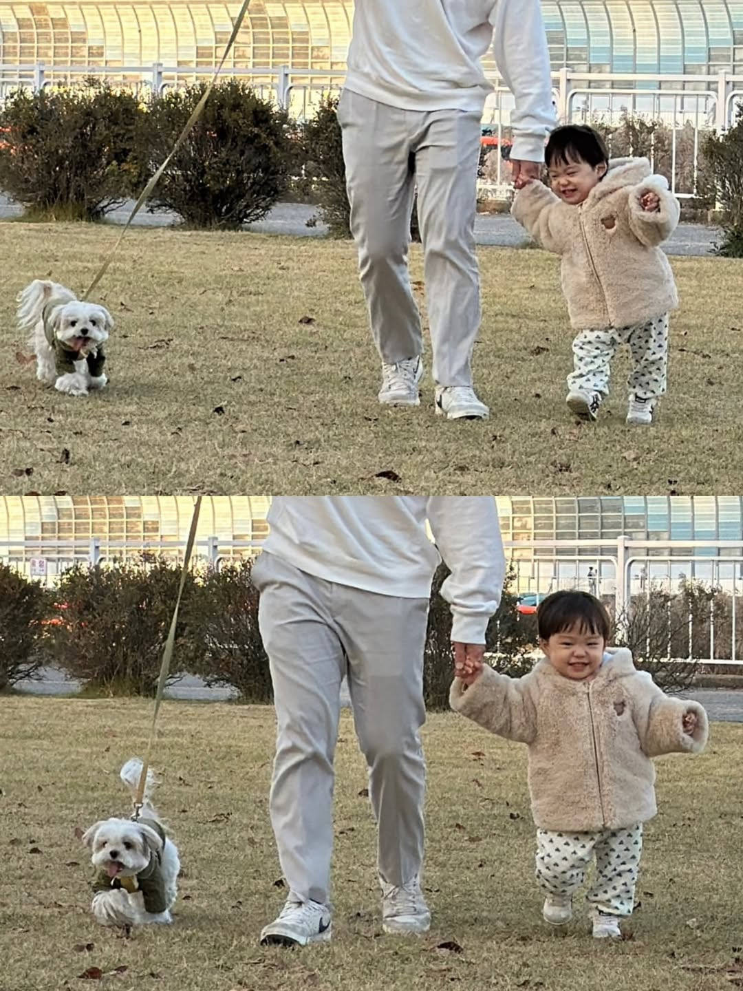 강아지별로 떠난 담비 인스타그램(+짠나 댓글) | 인스티즈
