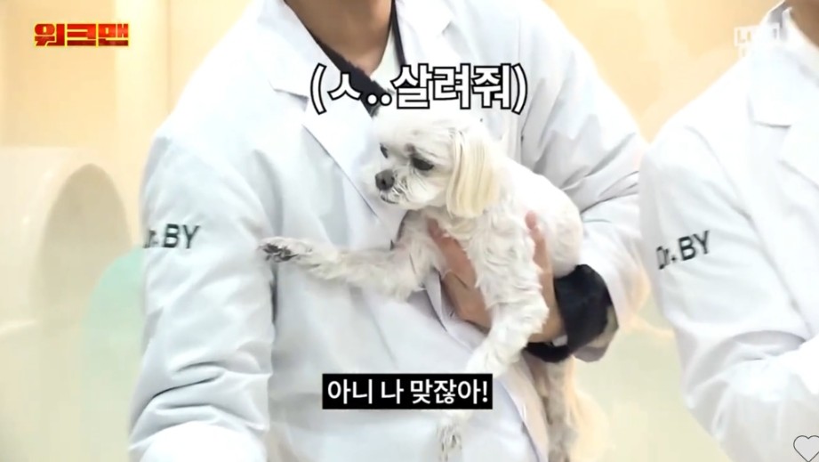 본인이 항문킬러라는 이준 | 인스티즈