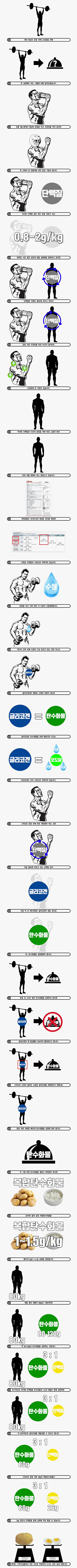 운동 후 근성장을 위해 꼭 먹어야 하는 것 | 인스티즈