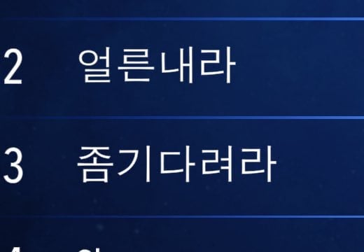한국인들 루미큐브 닉네임 | 인스티즈