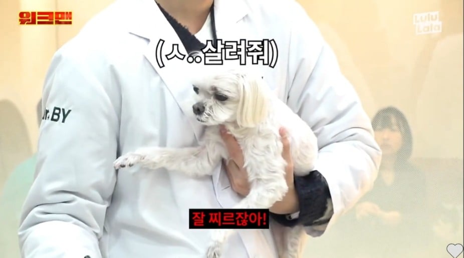 본인이 항문킬러라는 이준 | 인스티즈