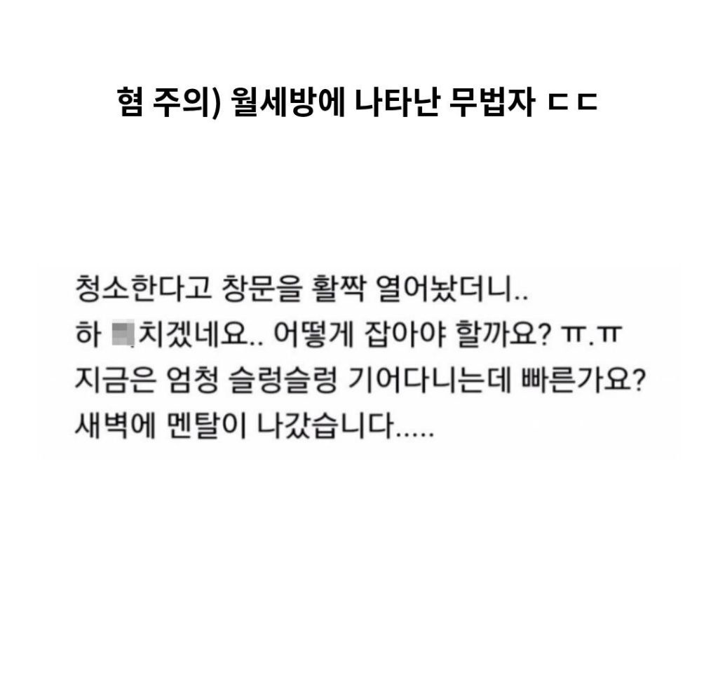 혐주의)월세방에 나타난 무법자 바선생 사진 있음 | 인스티즈