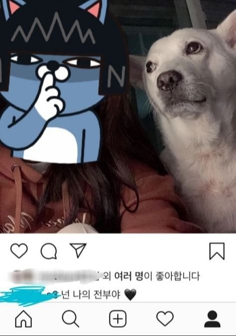 유기견 파양자가 인스타그램에 올린 글 | 인스티즈