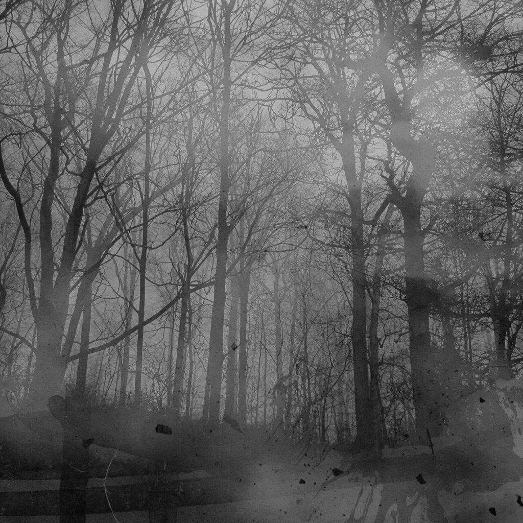 핀란드 보돔 호수 살인사건.jpgtxt (공포) | 인스티즈