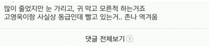 버틴게 대단할 정도인 아이유 악플 | 인스티즈