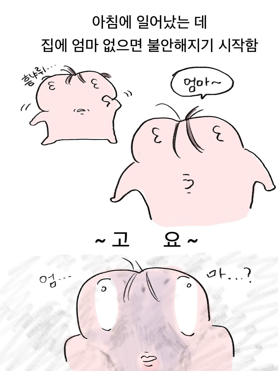 엄미새 특징 | 인스티즈