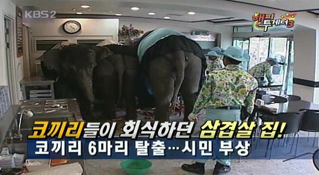 허언증 레전드 | 인스티즈