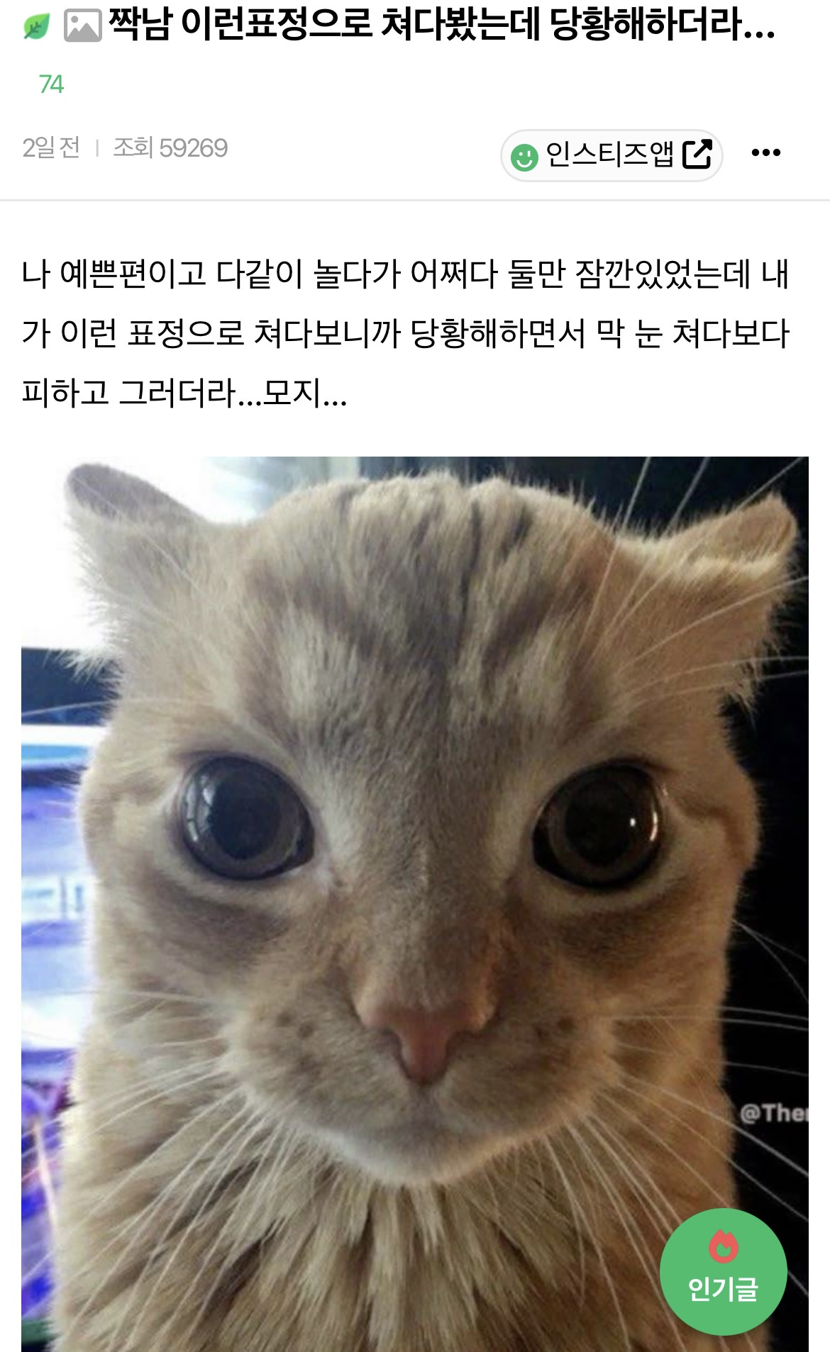 짝남 이런표정으로 쳐다봤는데 당황해하더라... | 인스티즈