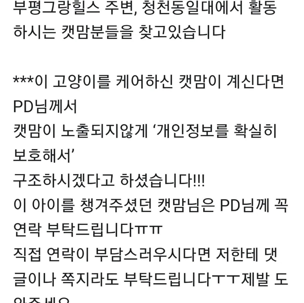 입에 케이블타이 묶인 고양이 발견(학대 아닐 가능성 있음 내용 추가) | 인스티즈