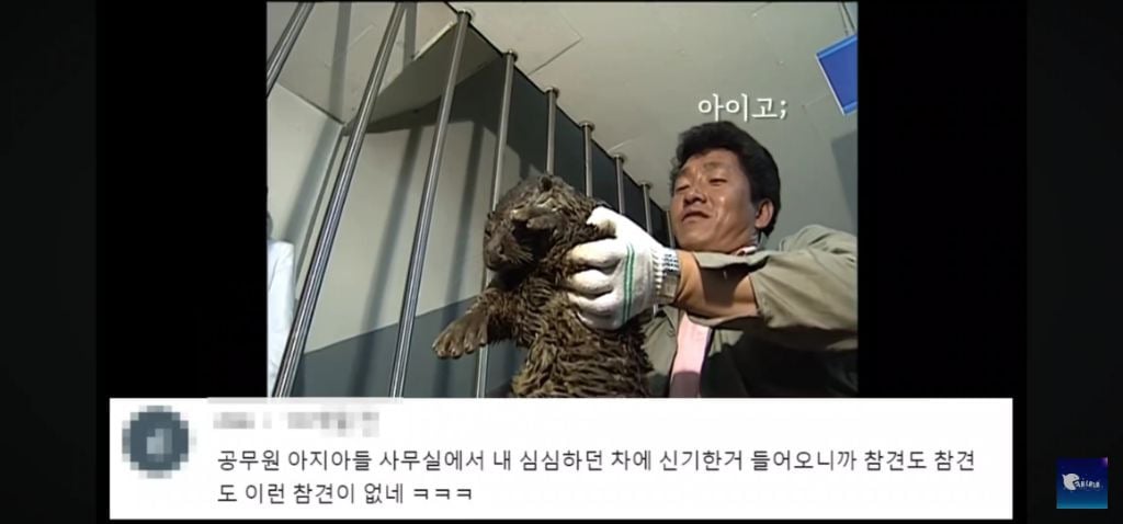 부산 사람 or 경상도 사람만 찐사랑이라고 함 | 인스티즈