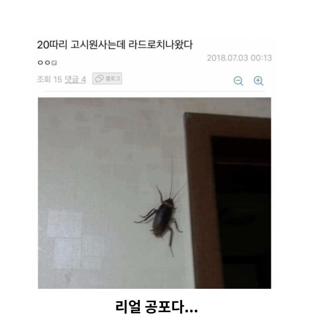 혐주의)월세방에 나타난 무법자 바선생 사진 있음 | 인스티즈