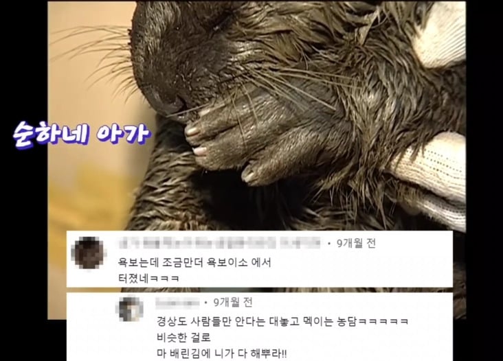 부산 사람 or 경상도 사람만 찐사랑이라고 함 | 인스티즈