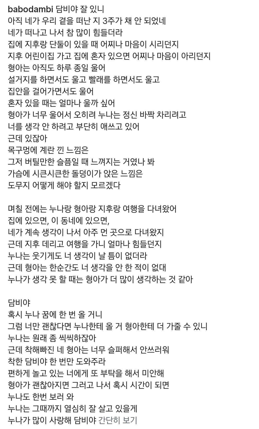 강아지별로 떠난 담비 인스타그램(+짠나 댓글) | 인스티즈