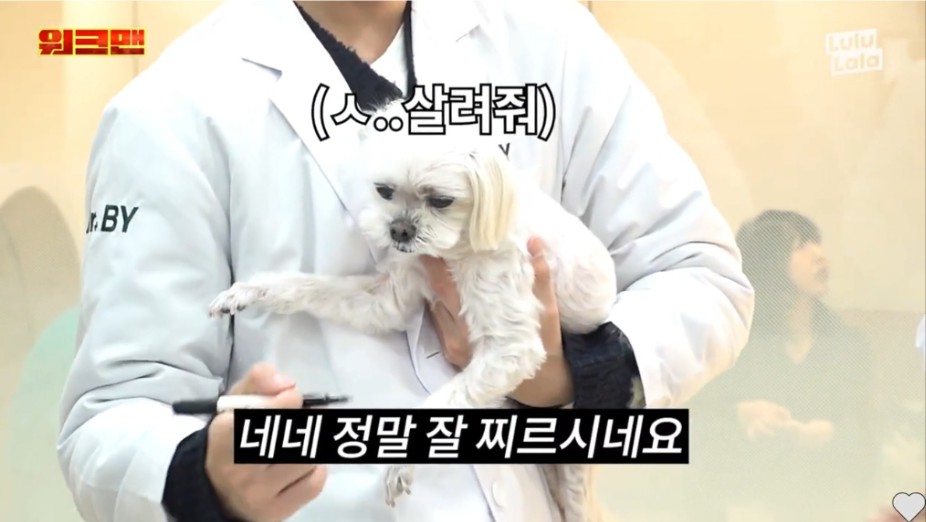 본인이 항문킬러라는 이준 | 인스티즈