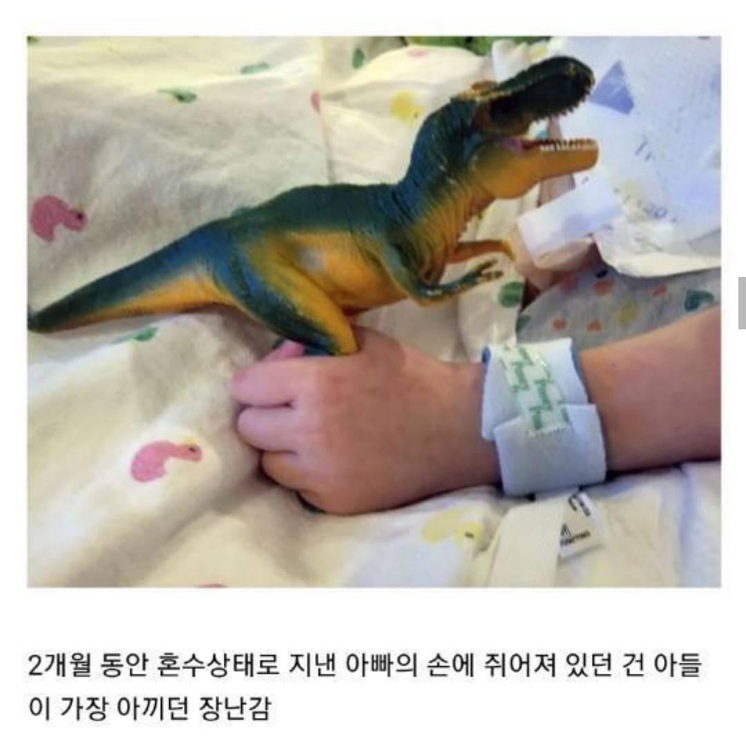 인류애 상실 극복짤 모음 ㅠ (감동 폭발) | 인스티즈