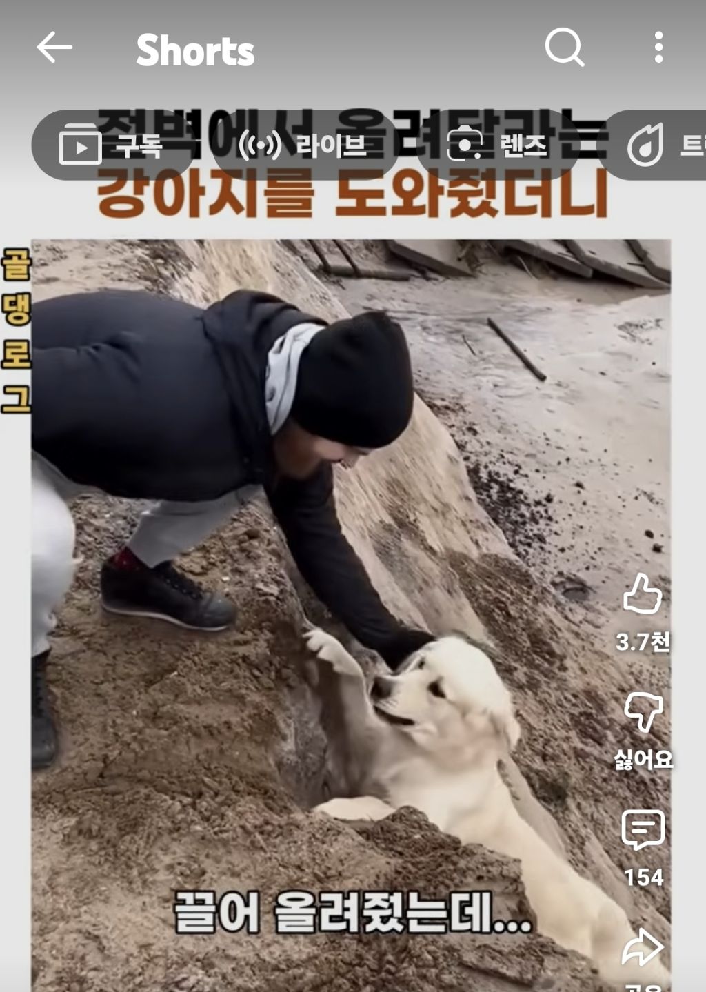 절벽에 떨어지려는 찹츄 도와주기 | 인스티즈
