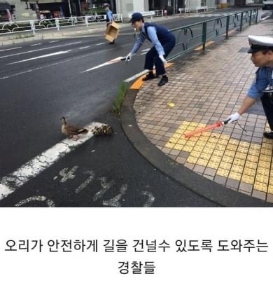 인류애 상실 극복짤 모음 ㅠ (감동 폭발) | 인스티즈