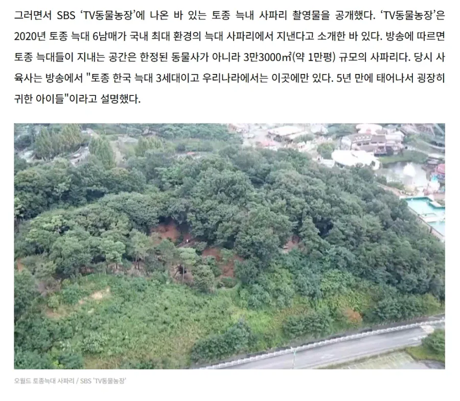 사람들이 늑구에 대해 오해하고 있는 점 | 인스티즈
