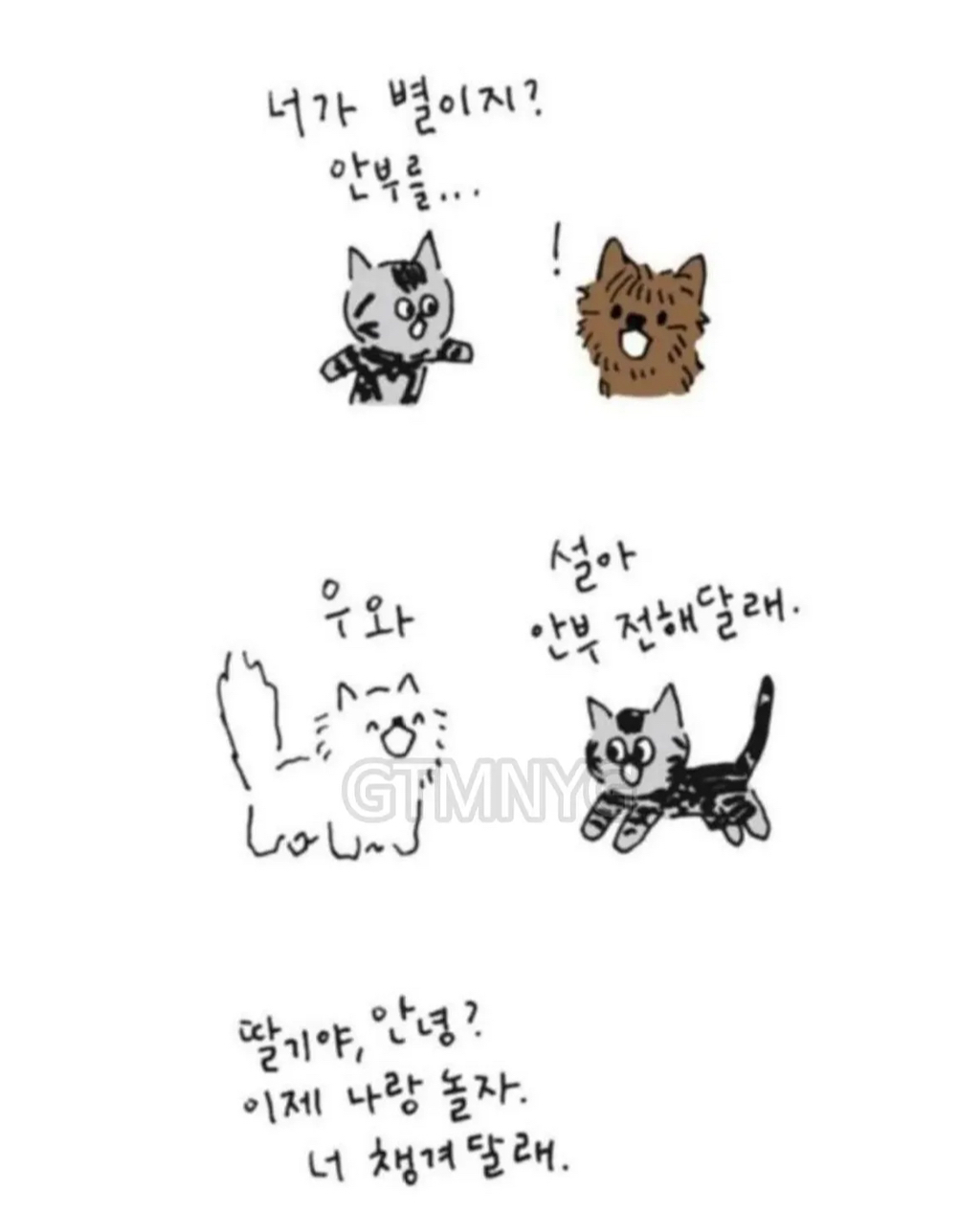 사람들이 잘 모르는 '무지개다리 건넌 반려동물'이 마중나오는 짤 뒷 이야기ㅜㅜ | 인스티즈