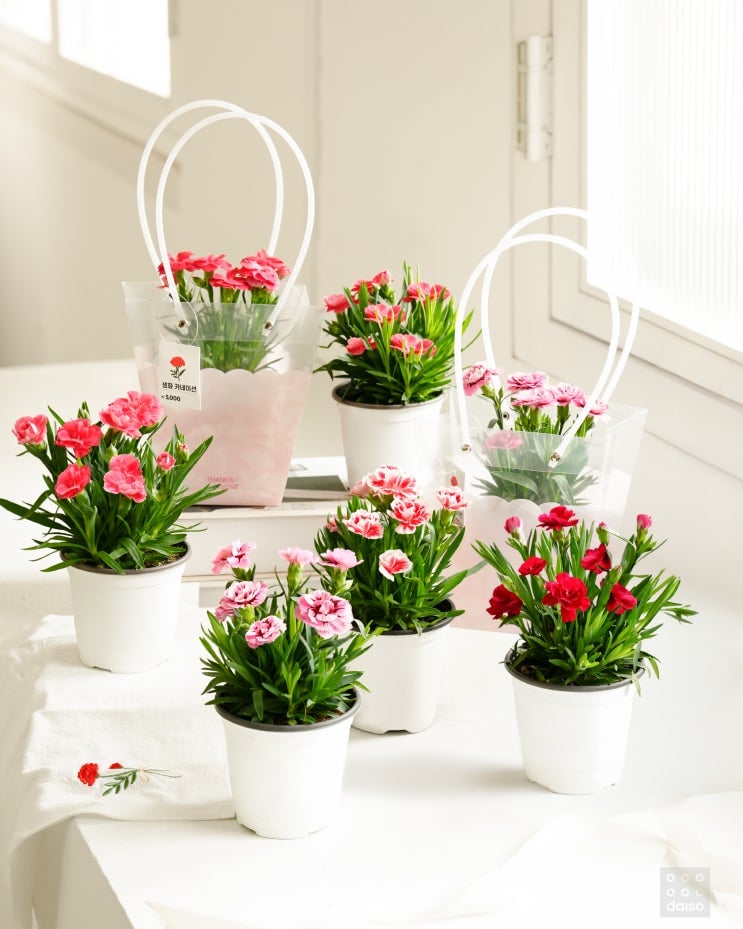 2026 다이소 가정의 달💐 어린이날부터~생화 카네이션 & 카네이션 브로치🌹 어버이날까지 준비 끝!🎁 우리 가족 웃음 버튼 ON | 인스티즈