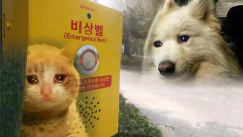 인류애 상실 극복짤 모음 ㅠ (감동 폭발) | 인스티즈