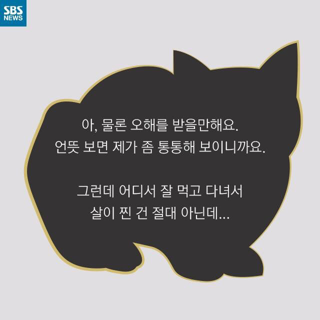 길 고양이가 뚱뚱한 이유..jpg | 인스티즈