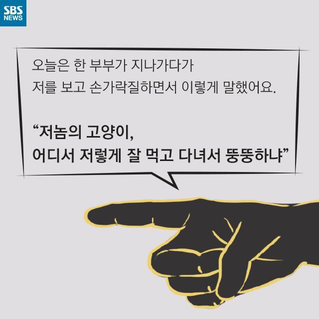 길 고양이가 뚱뚱한 이유..jpg | 인스티즈