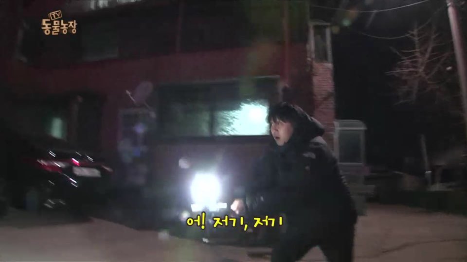 [동물농장] 매일 장갑 물어오는 고양이 (사랑스러움주의/스압주의) | 인스티즈