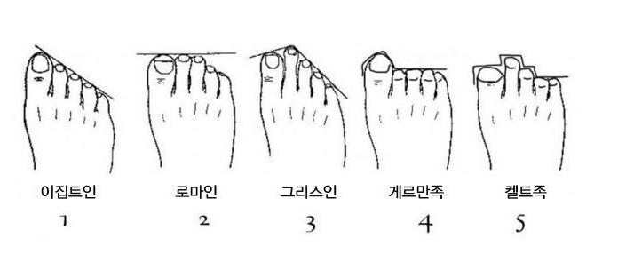 발가락 유형 | 인스티즈