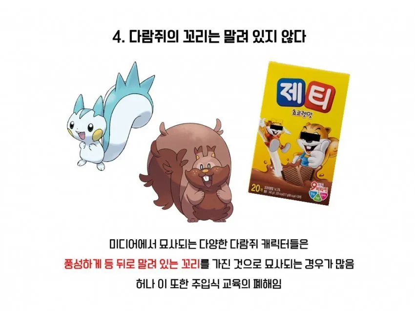 다람쥐와 청설모의 차이 | 인스티즈