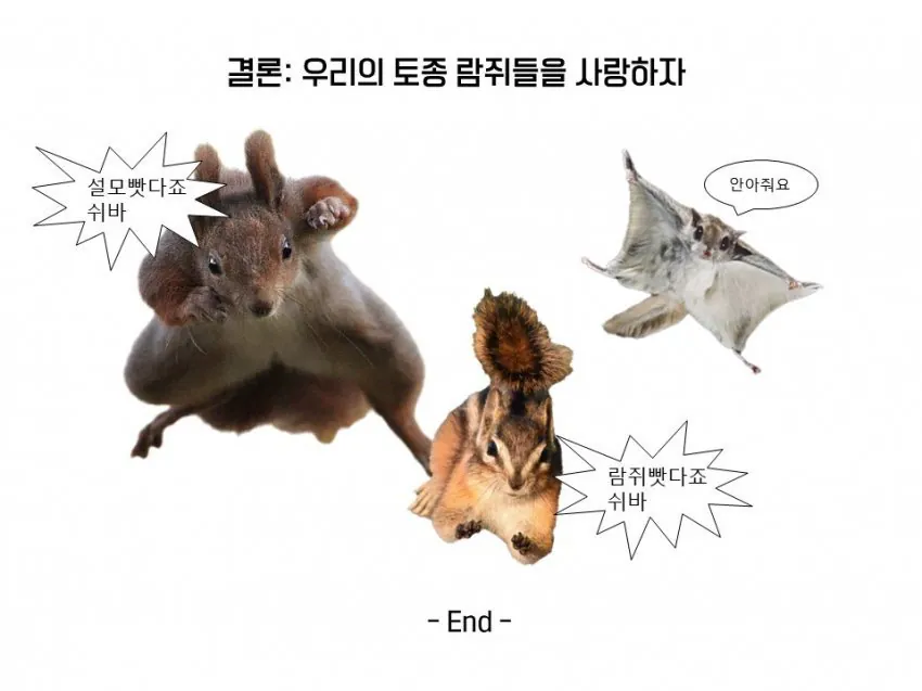 다람쥐와 청설모의 차이 | 인스티즈