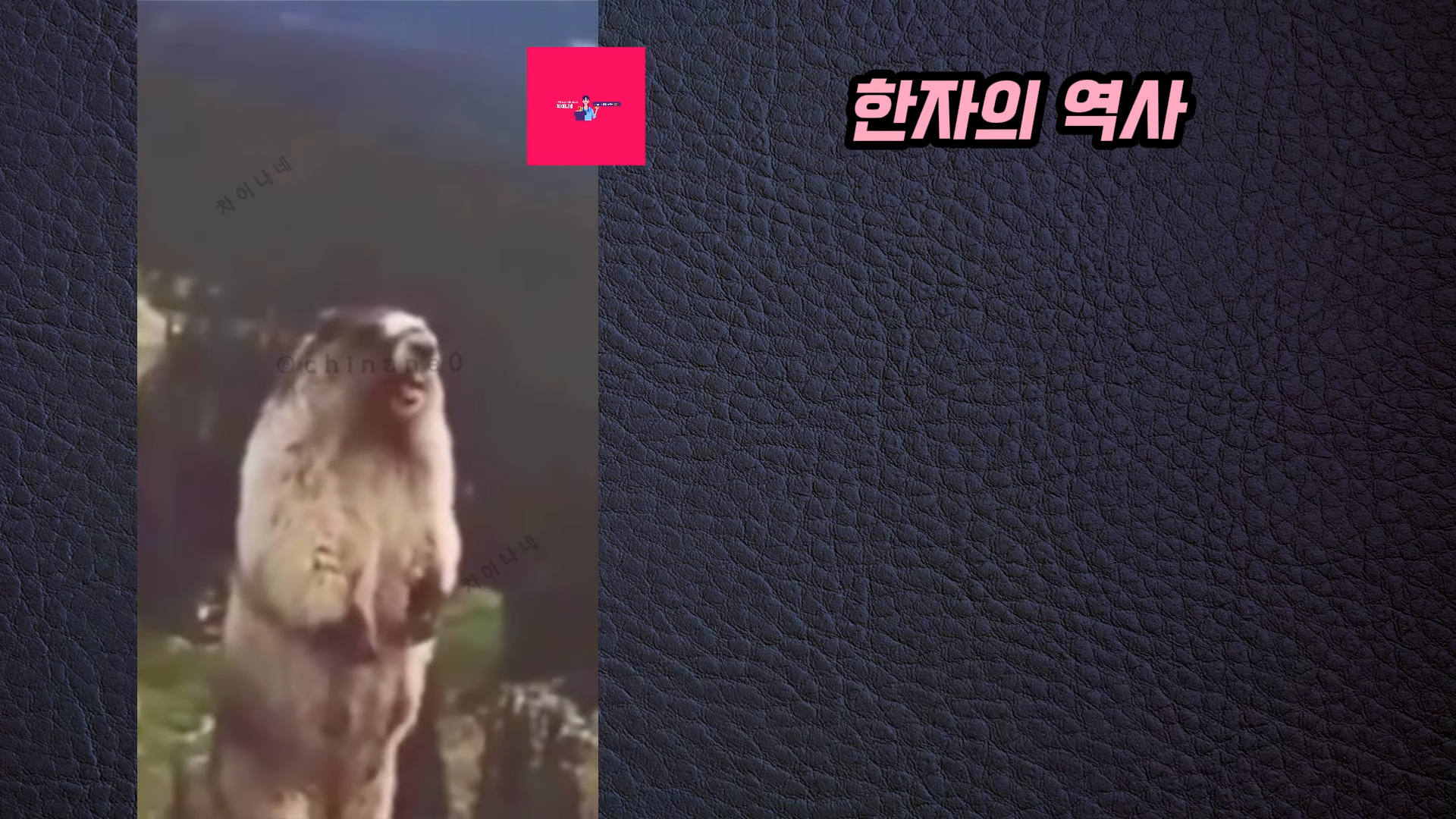 생각보다 악질인 장위안 | 인스티즈