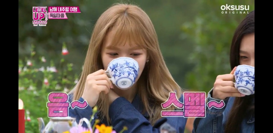 독일 건강차 마시는 레드벨벳 ㅋㅋㅋㅋㅋㅋㅋㅋㅋㅋㅋㅋㅋ | 인스티즈