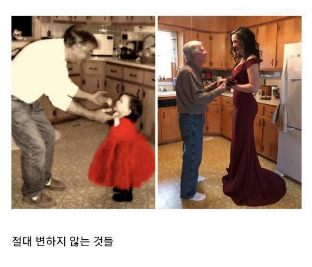 인류애 상실 극복짤 모음 ㅠ (감동 폭발) | 인스티즈