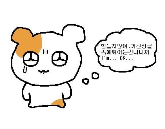 트위터 밈 어원 설명해주는 글 | 인스티즈