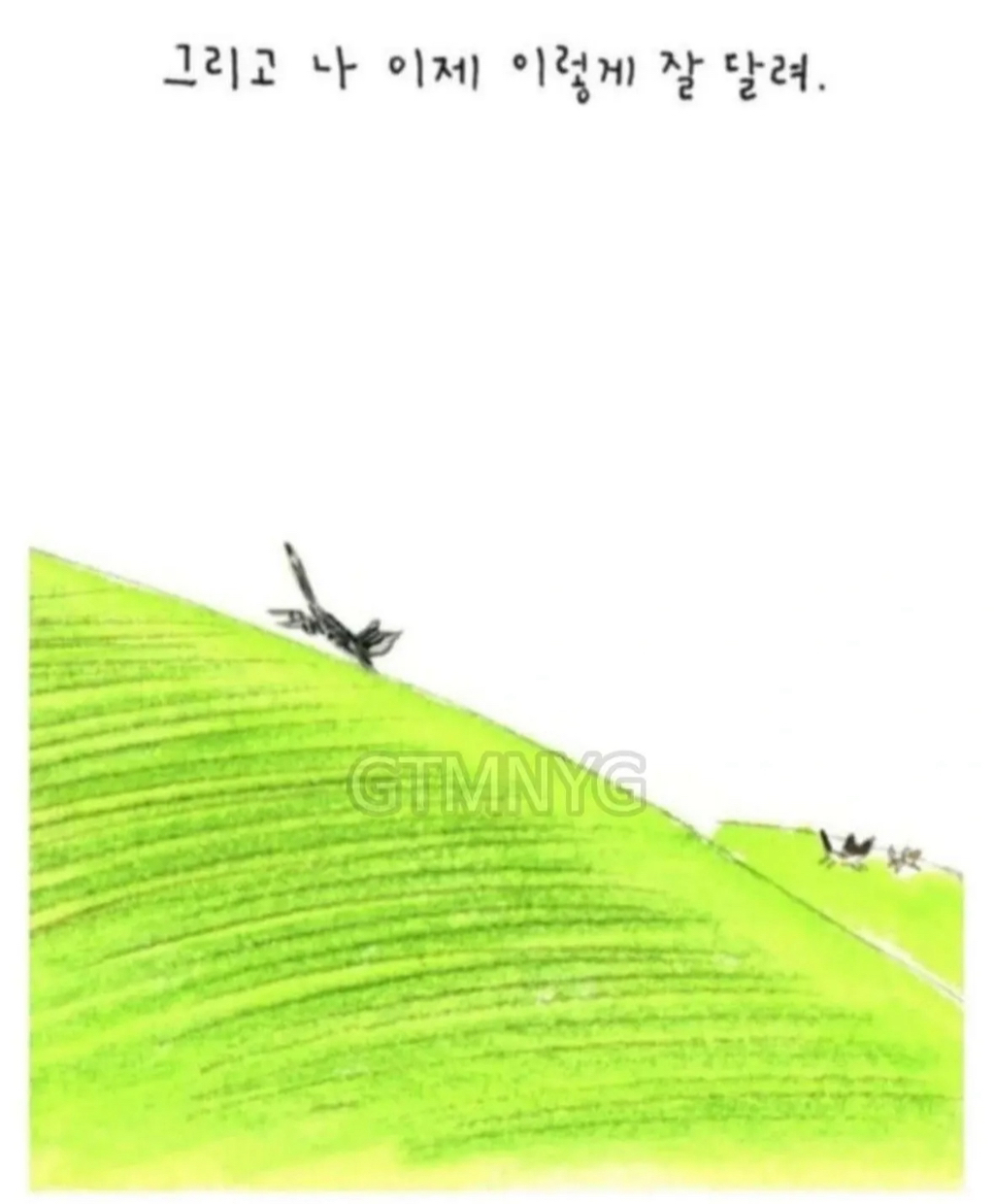 사람들이 잘 모르는 '무지개다리 건넌 반려동물'이 마중나오는 짤 뒷 이야기ㅜㅜ | 인스티즈