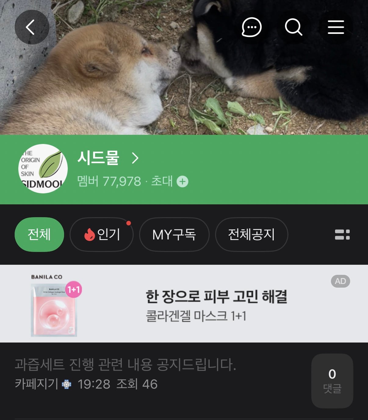 시드물 카페에 올라온 과즙세연 진행 관련 내용 공지 | 인스티즈
