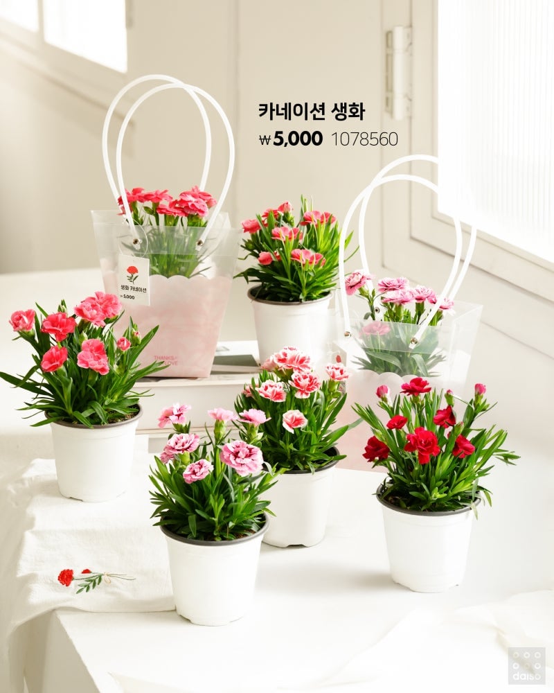 2026 다이소 가정의 달💐 어린이날부터~생화 카네이션 & 카네이션 브로치🌹 어버이날까지 준비 끝!🎁 우리 가족 웃음 버튼 ON | 인스티즈