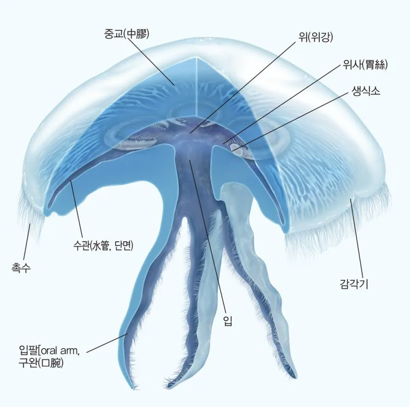심심해서 써보는 신기한 사실들 10가지 - 3 | 인스티즈