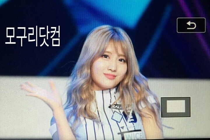 [트와이스] 경희대 전치제 모모 프리뷰 | 인스티즈