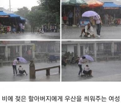 인류애 상실 극복짤 모음 ㅠ (감동 폭발) | 인스티즈