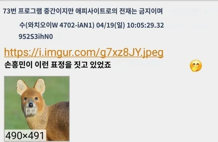 고라니를 어디선가 본 듯한 일본인 | 인스티즈