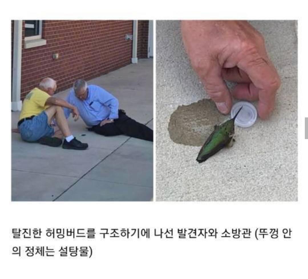 인류애 상실 극복짤 모음 ㅠ (감동 폭발) | 인스티즈