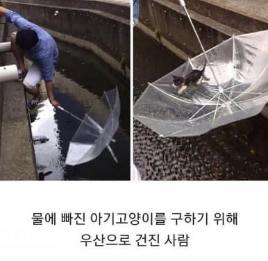 인류애 상실 극복짤 모음 ㅠ (감동 폭발) | 인스티즈