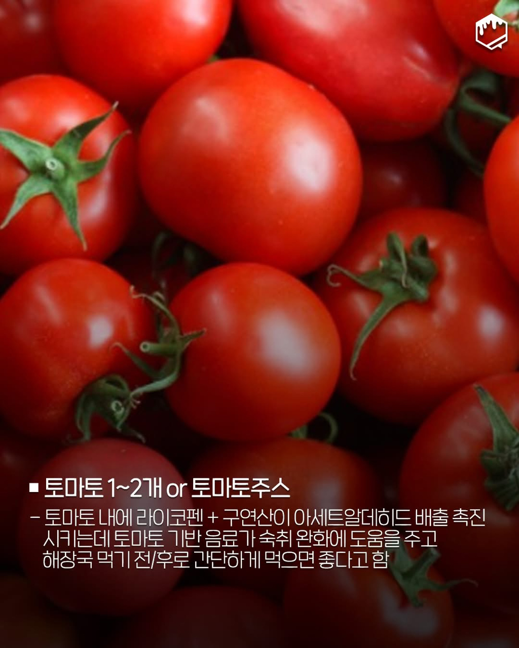 술먹고 해장하세요 체질이란게 바뀝니다 | 인스티즈