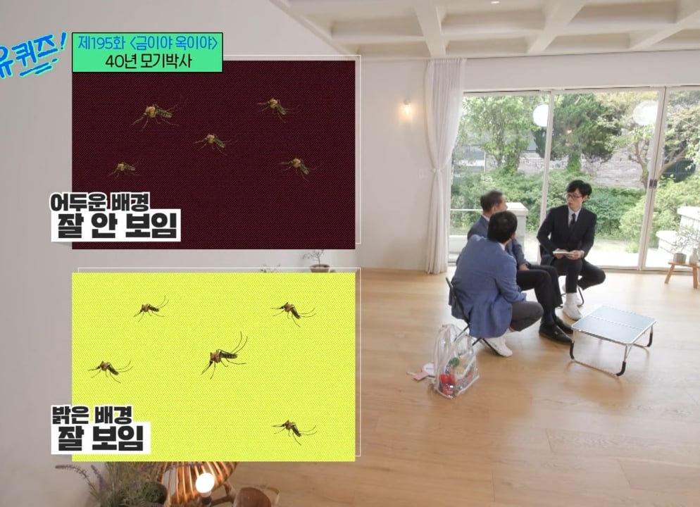 모기 박사가 말하는 모기에 잘 물리는 사람들 특징.jpg | 인스티즈